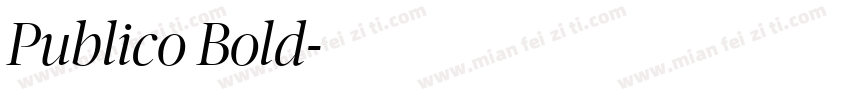 Publico Bold字体转换